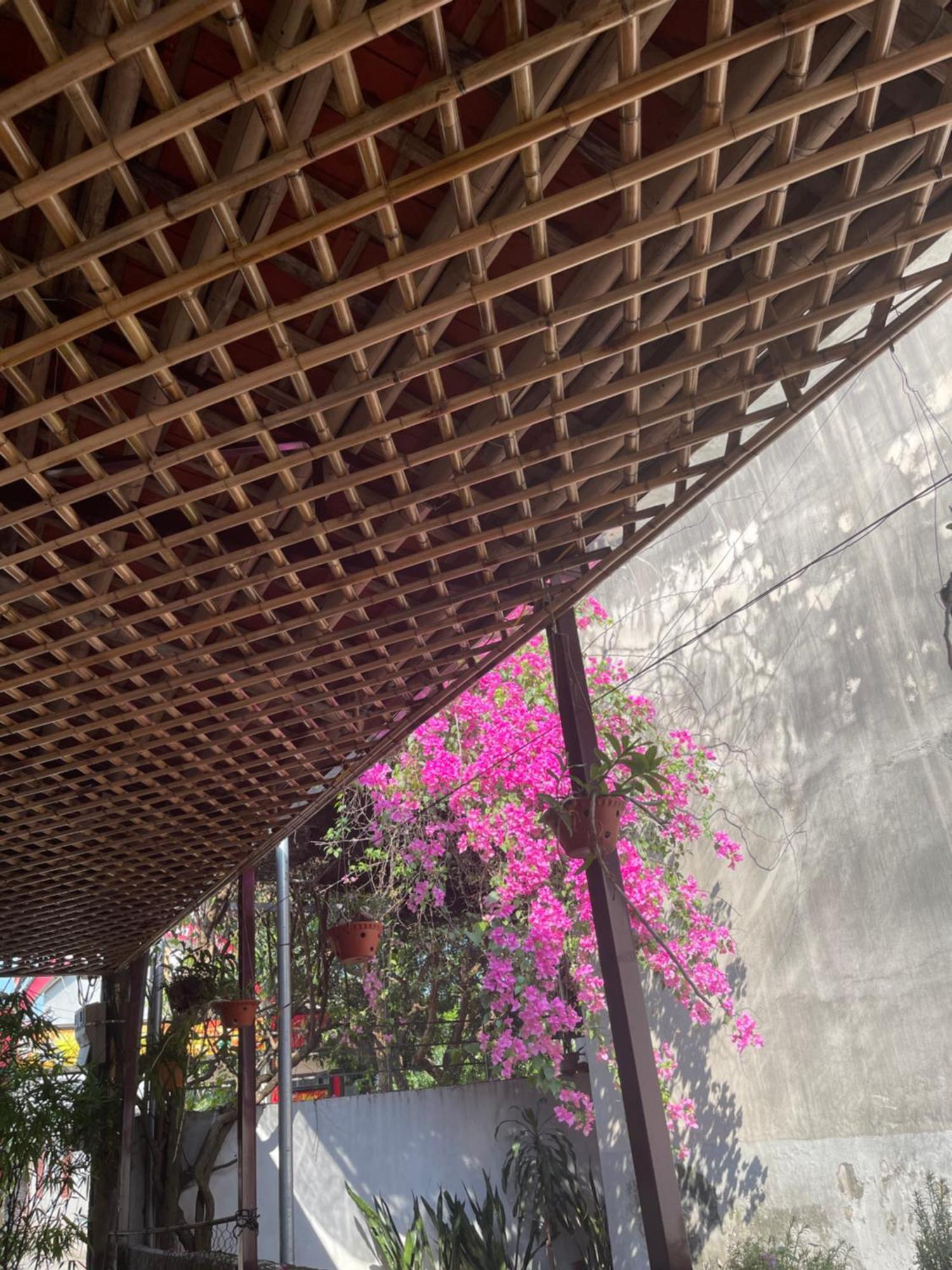 Thuy Xuyen Tam Coc Homestay Vu Lam Ngoại thất bức ảnh