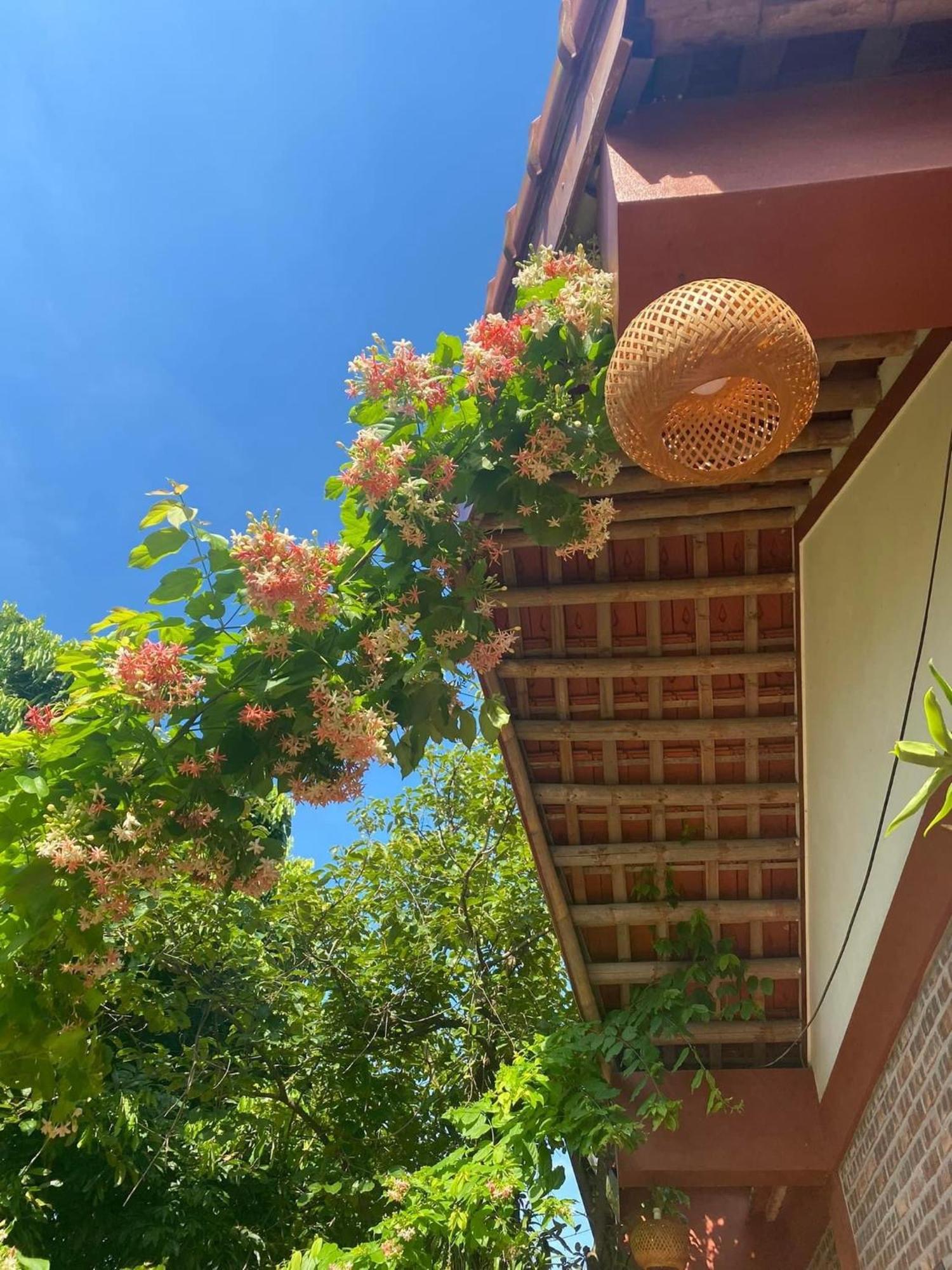 Thuy Xuyen Tam Coc Homestay Vu Lam Ngoại thất bức ảnh
