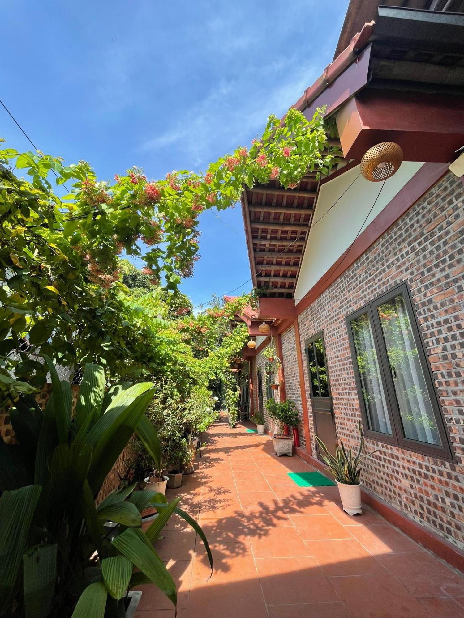 Thuy Xuyen Tam Coc Homestay Vu Lam Ngoại thất bức ảnh