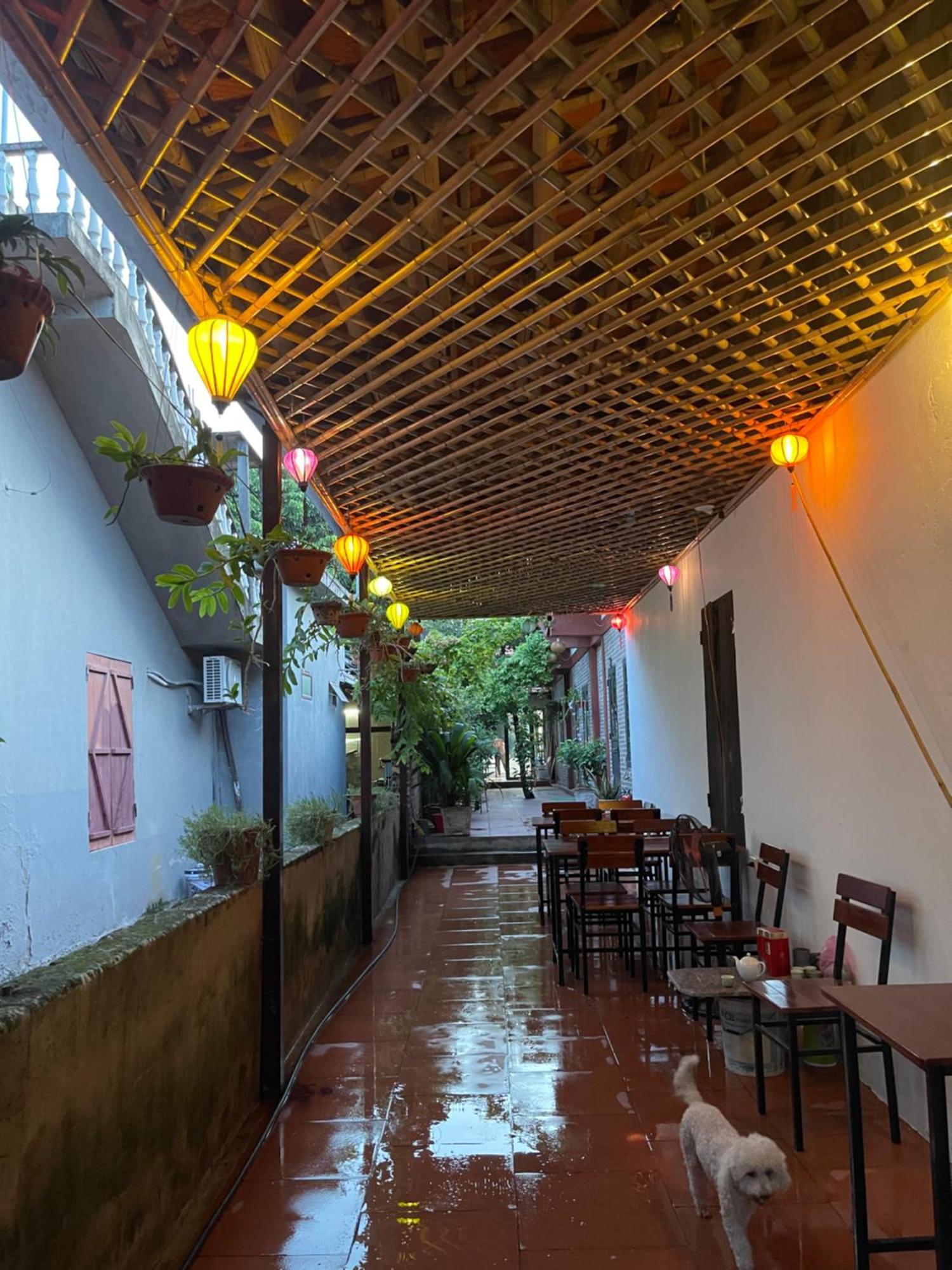 Thuy Xuyen Tam Coc Homestay Vu Lam Ngoại thất bức ảnh