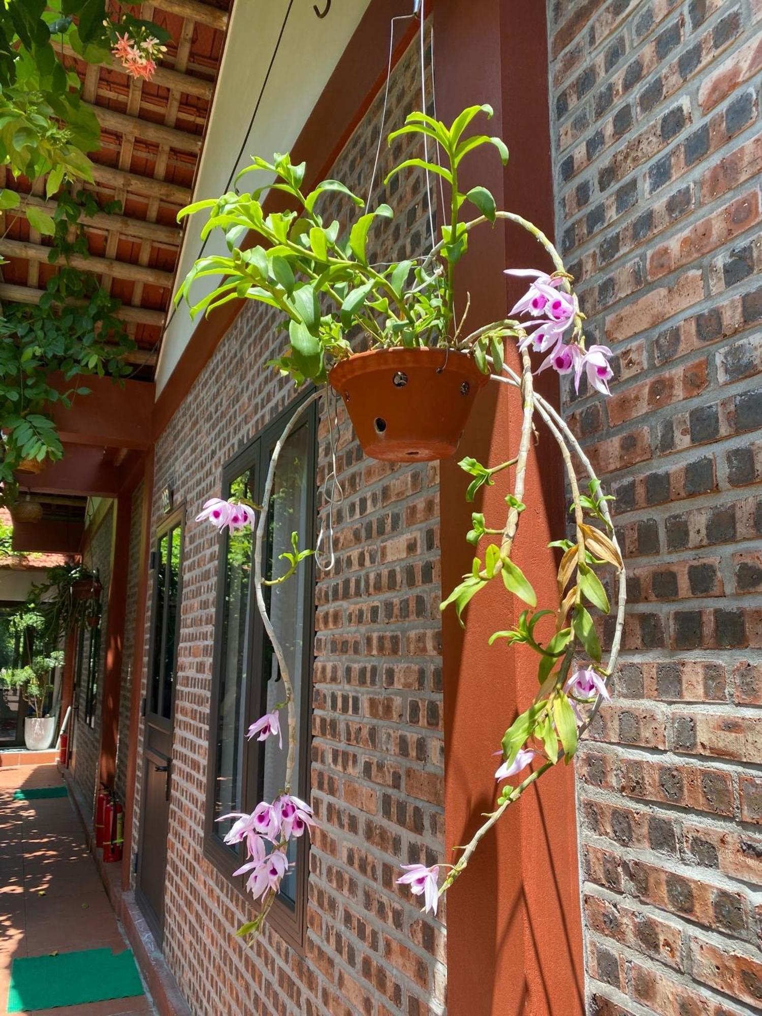 Thuy Xuyen Tam Coc Homestay Vu Lam Ngoại thất bức ảnh